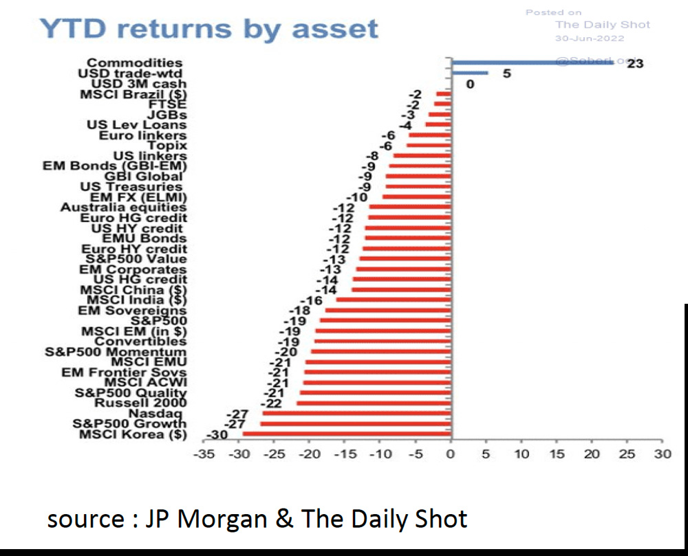 10. YTD returns by asset - July 22